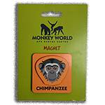 MAGNET MDF 2 LAYER STANDARD 60X60MM